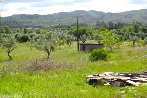 Helårsgrund i Penela, Coimbra, Penela - € 55.000 | Ref: ko2559 - foto 6