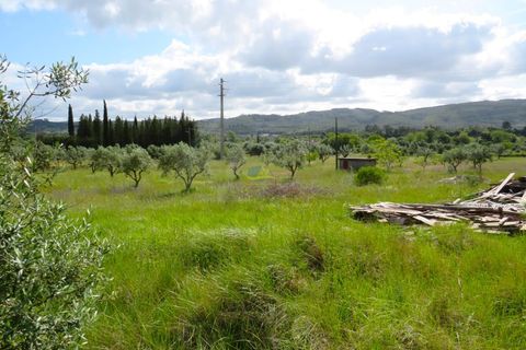 Helårsgrund i Penela, Coimbra, Penela - € 55.000 | Ref: ko2559 - foto 7