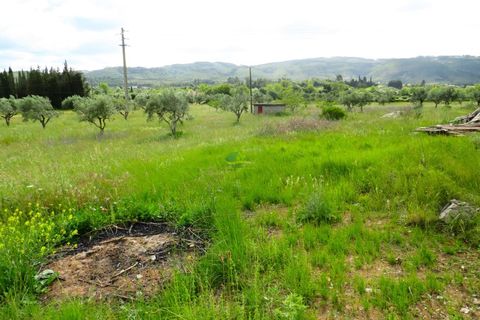 Helårsgrund i Penela, Coimbra, Penela - € 55.000 | Ref: ko2559 - foto 8