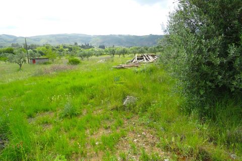 Helårsgrund i Penela, Coimbra, Penela - € 55.000 | Ref: ko2559 - foto 9