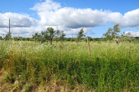 Helårsgrund i Penela, Coimbra, Penela - € 55.000 | Ref: ko2559 - foto 10