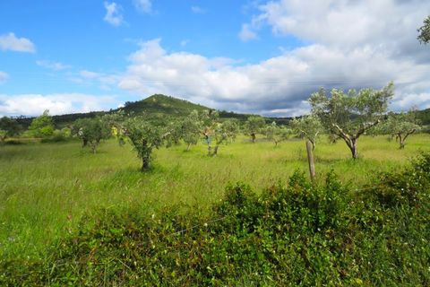 Helårsgrund i Penela, Coimbra, Penela - € 55.000 | Ref: ko2559 - foto 13