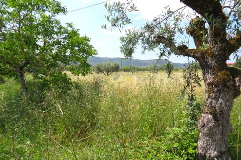 Helårsgrund i Penela, Coimbra, Penela - € 55.000 | Ref: ko2559 - foto 14