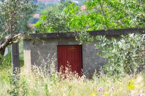 Helårsgrund i Penela, Coimbra, Penela - € 55.000 | Ref: ko2559 - foto 16