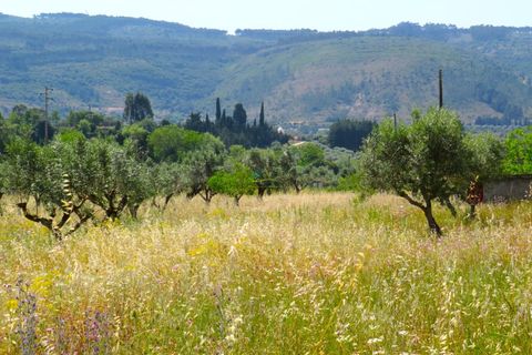 Helårsgrund i Penela, Coimbra, Penela - € 55.000 | Ref: ko2559 - foto 18