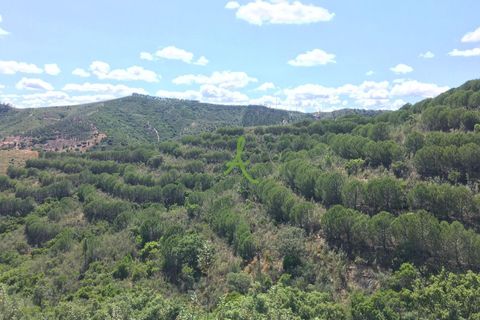 Helårsgrund i Silves, Faro, Silves - € 72.500 | Ref: SLV0035 - foto 5