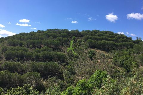 Helårsgrund i Silves, Faro, Silves - € 72.500 | Ref: SLV0035 - foto 6