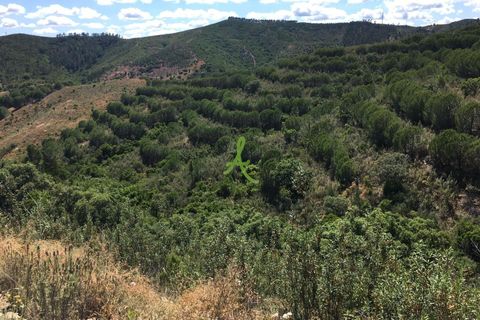 Helårsgrund i Silves, Faro, Silves - € 72.500 | Ref: SLV0035 - foto 4