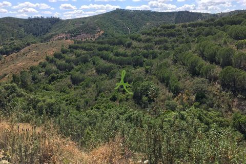 Helårsgrund i Silves, Faro, Silves - € 72.500 | Ref: SLV0035 - foto 7