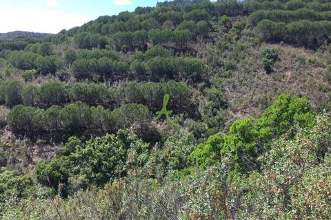 Helårsgrund i Silves, Faro, Silves - € 72.500 | Ref: SLV0035 - foto 10