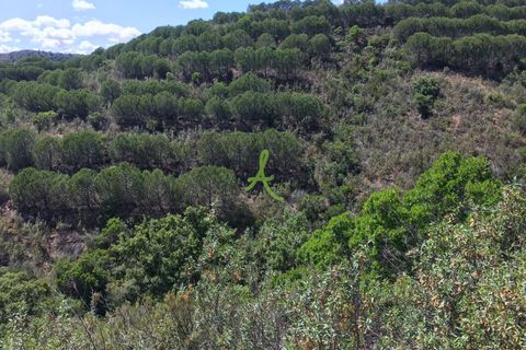 Helårsgrund i Silves, Faro, Silves - € 72.500 | Ref: SLV0035 - foto 8