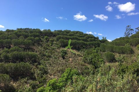 Helårsgrund i Silves, Faro, Silves - € 72.500 | Ref: SLV0035 - foto 9