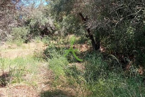 Helårsgrund i Silves, Faro, Silves - € 38.000 | Ref: SLV0036 - foto 1