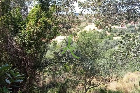 Helårsgrund i Silves, Faro, Silves - € 38.000 | Ref: SLV0036 - foto 4