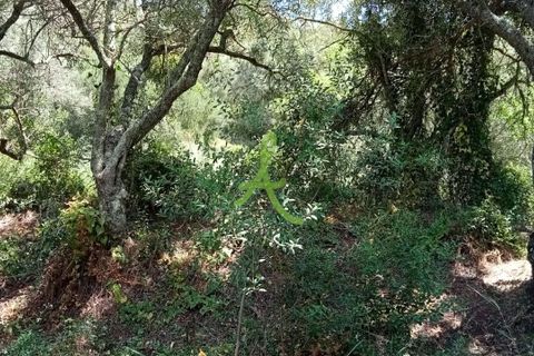 Helårsgrund i Silves, Faro, Silves - € 38.000 | Ref: SLV0036 - foto 5