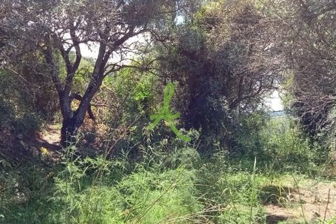 Helårsgrund i Silves, Faro, Silves - € 38.000 | Ref: SLV0036 - foto 6
