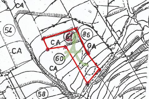 Helårsgrund i Silves, Faro, Silves - € 38.000 | Ref: SLV0036 - foto 9
