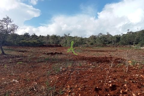 Helårsgrund i Silves, Faro, Silves - € 87.000 | Ref: SLV0037 - foto 1