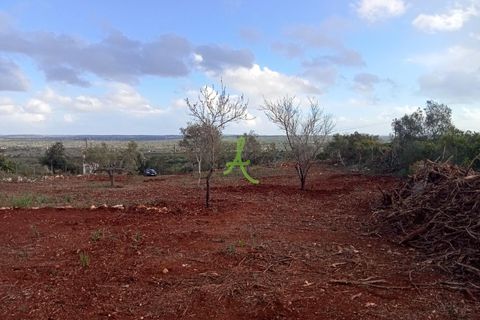 Helårsgrund i Silves, Faro, Silves - € 87.000 | Ref: SLV0037 - foto 3
