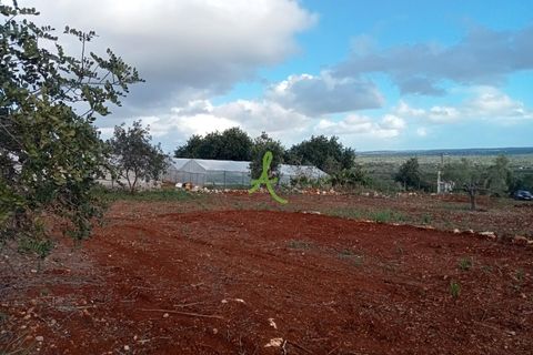 Helårsgrund i Silves, Faro, Silves - € 87.000 | Ref: SLV0037 - foto 2