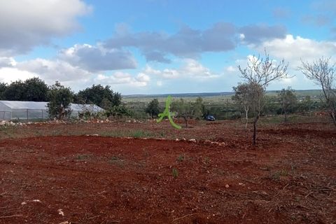 Helårsgrund i Silves, Faro, Silves - € 87.000 | Ref: SLV0037 - foto 4