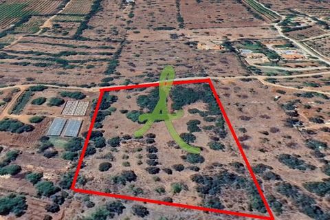 Helårsgrund i Silves, Faro, Silves - € 87.000 | Ref: SLV0037 - foto 6