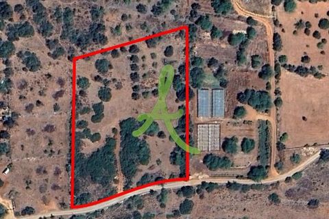 Helårsgrund i Silves, Faro, Silves - € 87.000 | Ref: SLV0037 - foto 5