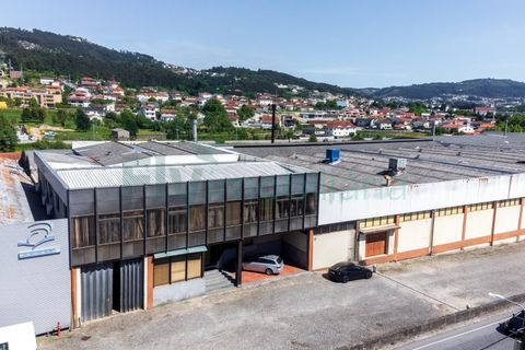 Bungalou a Vizela, Braga, Vizela - € 5.500.000 | Ref: F2401.043 - foto 3