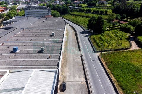 Bungalou a Vizela, Braga, Vizela - € 5.500.000 | Ref: F2401.043 - foto 5