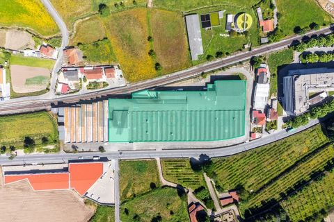 Bungalou a Vizela, Braga, Vizela - € 5.500.000 | Ref: F2401.043 - foto 8