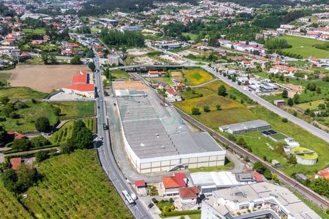 Bungalou a Vizela, Braga, Vizela - € 5.500.000 | Ref: F2401.043 - foto 22