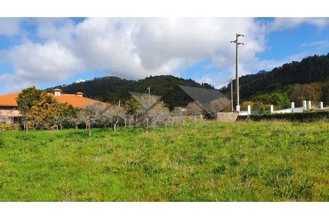 Terra a Areosa, Viana do Castelo, Areosa - € 269.000 | Ref: C0236/00251 - foto 6