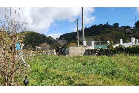 Terra a Areosa, Viana do Castelo, Areosa - € 269.000 | Ref: C0236/00251 - foto 7