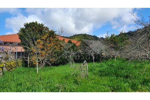 Terra a Areosa, Viana do Castelo, Areosa - € 269.000 | Ref: C0236/00251 - foto 8