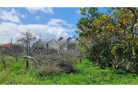 Terra a Areosa, Viana do Castelo, Areosa - € 269.000 | Ref: C0236/00251 - foto 9