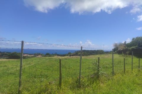 Terra a Sao Roque, Madeira, Sao Roque - € 350.000 | Ref: MPDL5049 - foto 4
