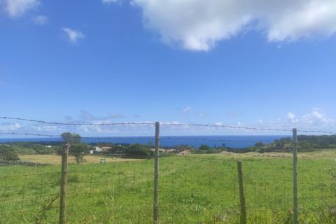 Terra a Sao Roque, Madeira, Sao Roque - € 350.000 | Ref: MPDL5049 - foto 5