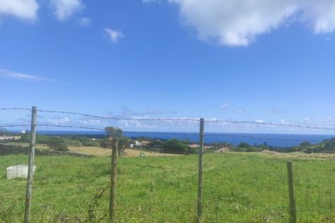 Terra a Sao Roque, Madeira, Sao Roque - € 350.000 | Ref: MPDL5049 - foto 6