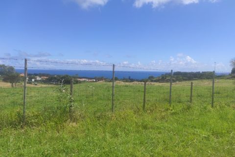 Terra a Sao Roque, Madeira, Sao Roque - € 350.000 | Ref: MPDL5049 - foto 7