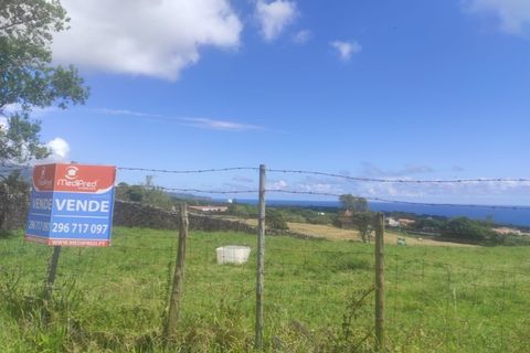 Terra a Sao Roque, Madeira, Sao Roque - € 350.000 | Ref: MPDL5049 - foto 9