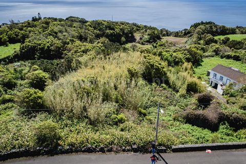 Helårsgrund i Lajes do Pico, Pico, Lajes do Pico - € 37.000 | Ref: 374220162 - foto 2