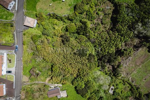 Helårsgrund i Lajes do Pico, Pico, Lajes do Pico - € 37.000 | Ref: 374220162 - foto 3