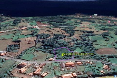 Helårsgrund i Lajes do Pico, Pico, Lajes do Pico - € 37.000 | Ref: 374220162 - foto 4