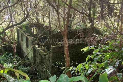 Helårsgrund i Lajes do Pico, Pico, Lajes do Pico - € 48.000 | Ref: 374220188 - foto 1