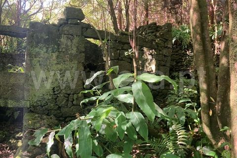 Helårsgrund i Lajes do Pico, Pico, Lajes do Pico - € 48.000 | Ref: 374220188 - foto 2