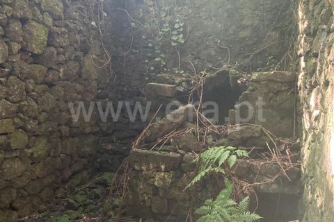 Helårsgrund i Lajes do Pico, Pico, Lajes do Pico - € 48.000 | Ref: 374220188 - foto 3
