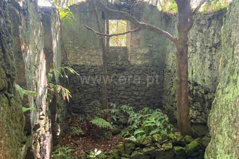 Helårsgrund i Lajes do Pico, Pico, Lajes do Pico - € 48.000 | Ref: 374220188 - foto 4