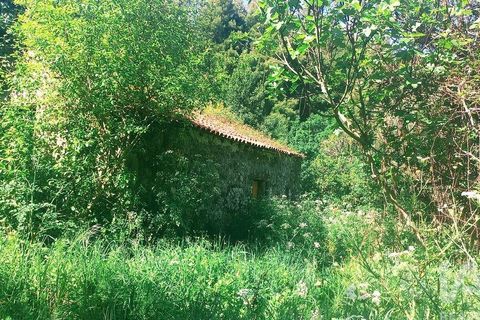 Byhus i Ponte de Lima, Viana do Castelo, Ponte de Lima - € 325.000 | Ref: 121137 - foto 14