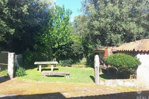 Byhus i Ponte de Lima, Viana do Castelo, Ponte de Lima - € 325.000 | Ref: 121137 - foto 21