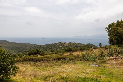 Finca i Tarifa, Cadiz, Tarifa - € 4.550.000 | Ref: STRAND6542 - foto 39